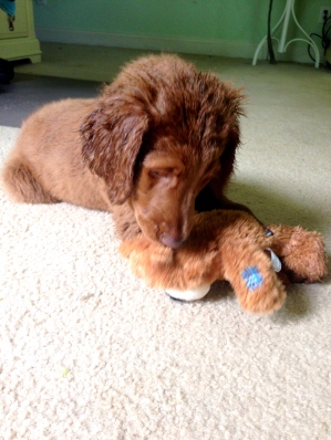 Teddy with her teddy