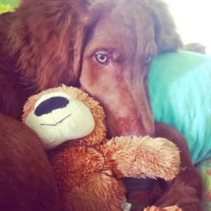 Teddy and her teddy bear